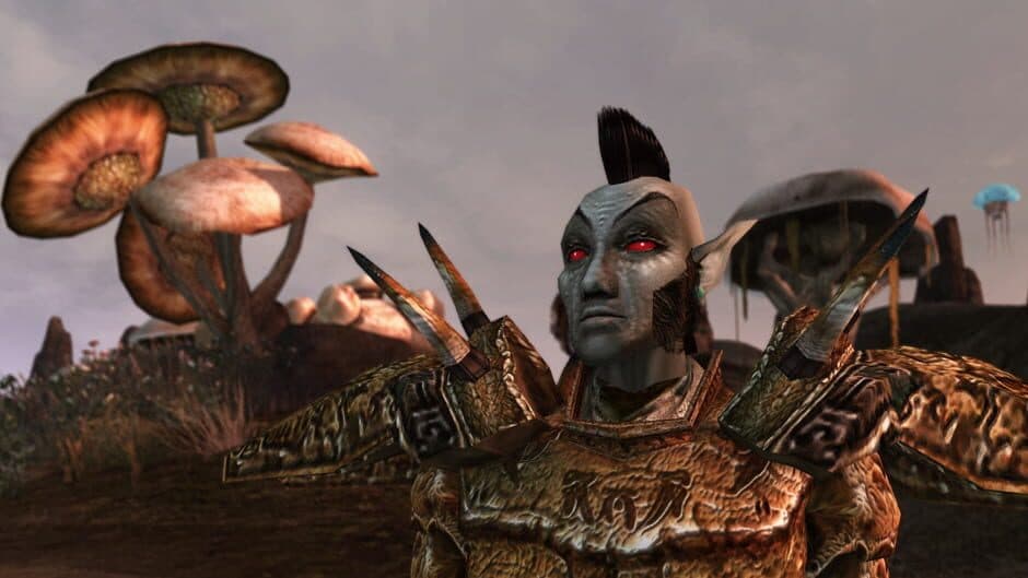 The Elder Scrolls III: Morrowind screenshot 4
