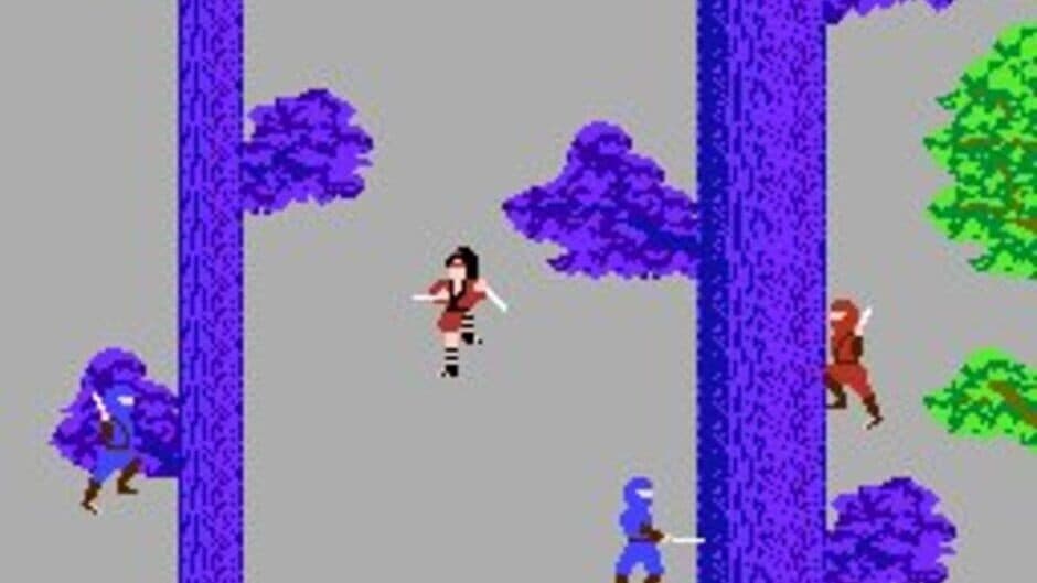 The Legend of Kage screenshot 3