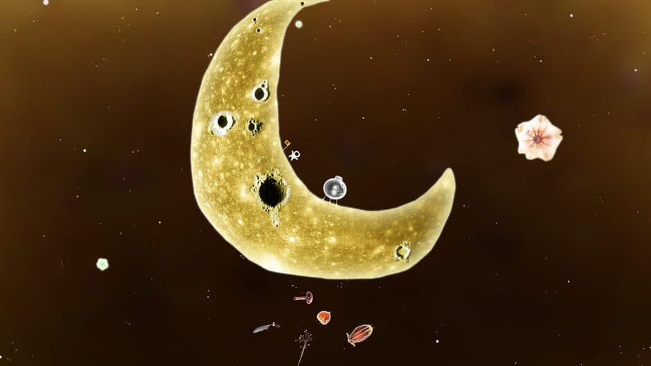 Botanicula screenshot 2