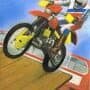 3D Stunt Rider