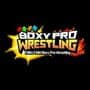 Chiki-Chiki Boxy Pro Wrestling