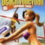 Summer Heat Beach Volleyball