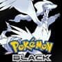Pokémon Black Version