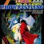 Super Fire Pro Wrestling III Final Bout