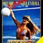 Malibu Bikini Volleyball