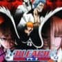 Bleach: Blade Battlers 2nd