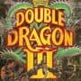 Double Dragon III: The Sacred Stones