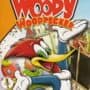 Woody Woodpecker: Escape from Buzz Buzzard Park
