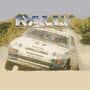 Rally: The Final Round of the World Rally Championship