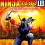 Ninja Gaiden III: The Ancient Ship of Doom