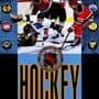 NHL Hockey