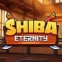 Shiba Eternity