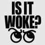 Is It Woke?