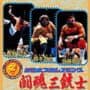 Shin Nippon Pro Wrestling: Toukon Sanjushi