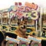 Sanyo Pachinko Paradise 3