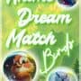 Anime Dream Match: Birds