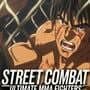 Street Combat: Ultimate MMA Fighters