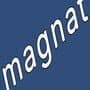 Magnat
