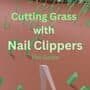 Cutting Grass With Nail Clippers the Game