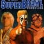 WCW SuperBrawl Wrestling