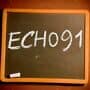 Echo 91