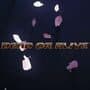 Dead or Alive New Project