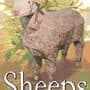 Sheeps