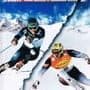 Alpine Ski Racing 2007