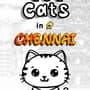 101 Cats in Chennai