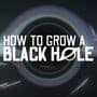 How to Grow a Black Hole