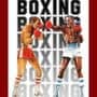 RealSports Boxing