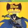 The Batman: Strength in Numbers