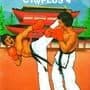 Thai Boxing