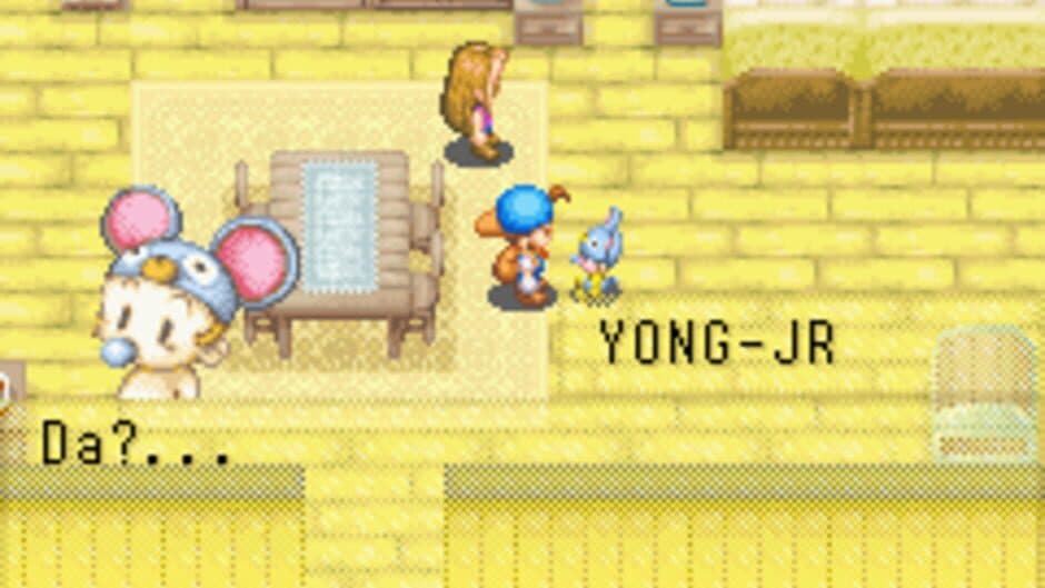 Harvest Moon: Friends of Mineral Town