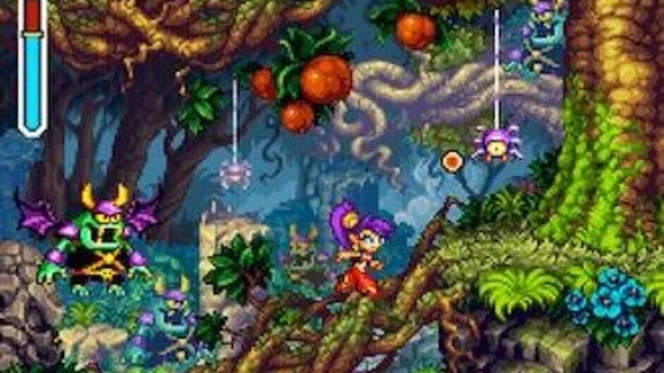 Shantae: Risky's Revenge
