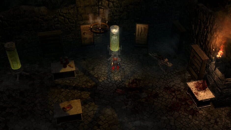 Grim Dawn screenshot 2