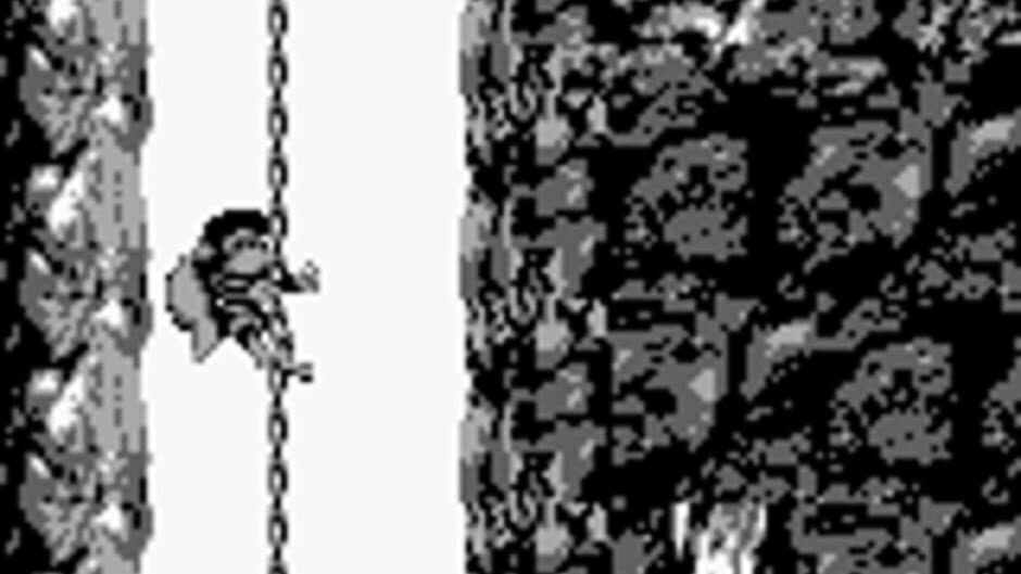 Donkey Kong Land 2 screenshot 6
