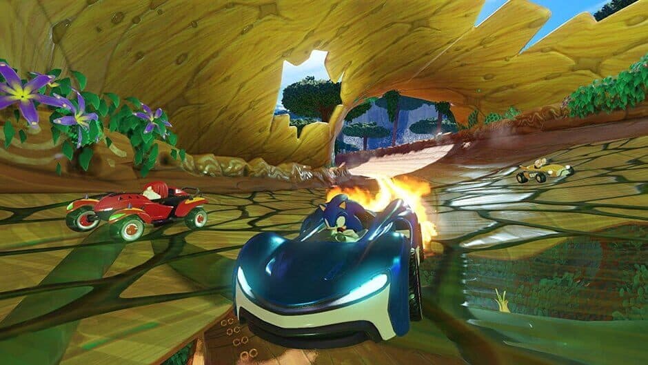 Team Sonic Racing screenshot 2