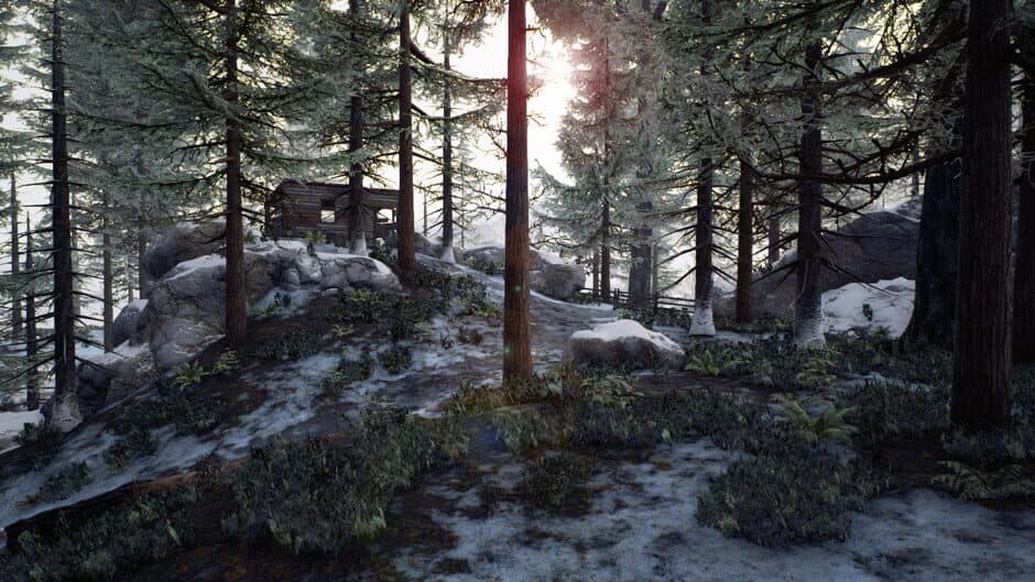 The Survivors screenshot 1