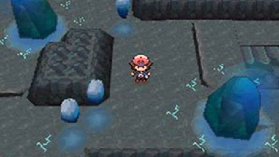 Pokémon Black Version screenshot 2