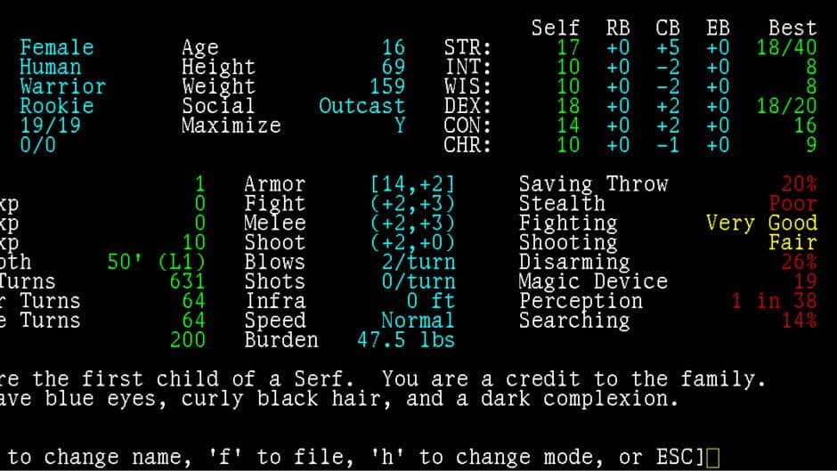 Angband screenshot 1
