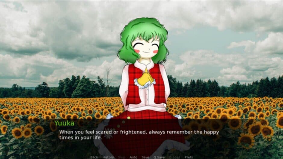 CBT With Yuuka Kazami screenshot 5