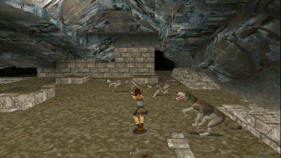 Tomb Raider screenshot 6
