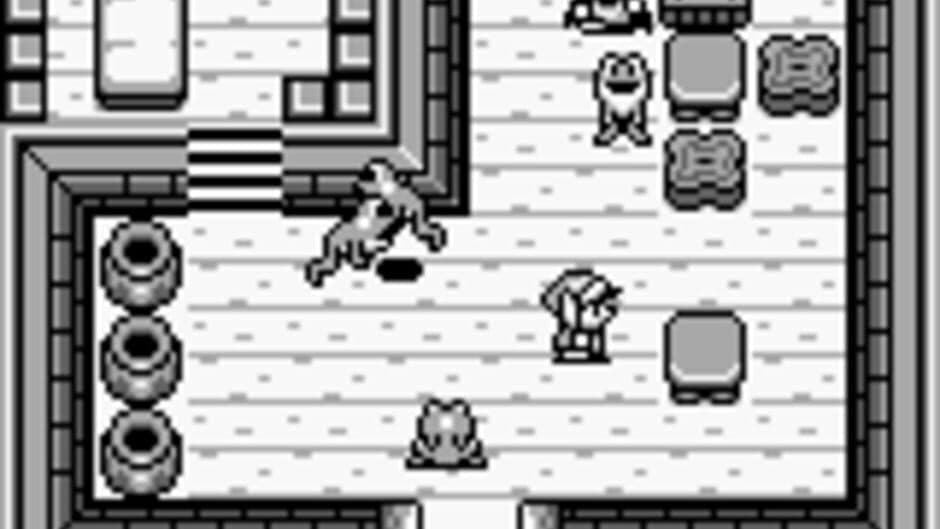 The Legend of Zelda: Link's Awakening screenshot 5