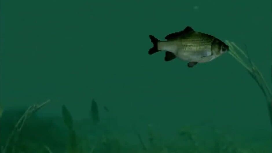 Reel Fishing screenshot 1