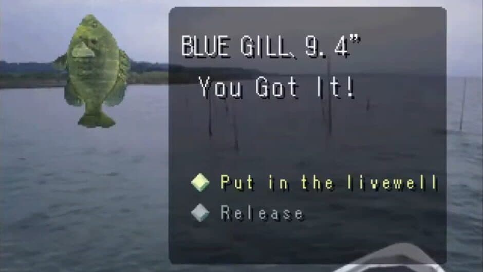 Reel Fishing screenshot 3