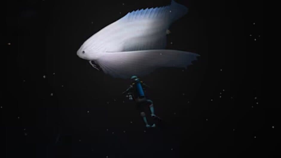 Endless Ocean: Luminous screenshot 4