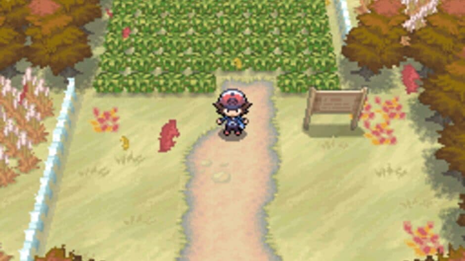 Pokémon Black Version