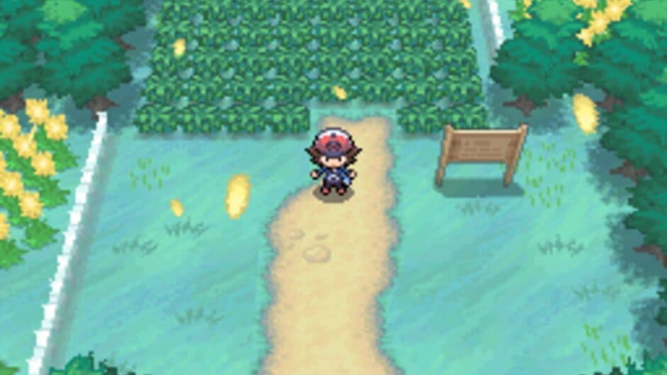 Pokémon Black Version screenshot 6