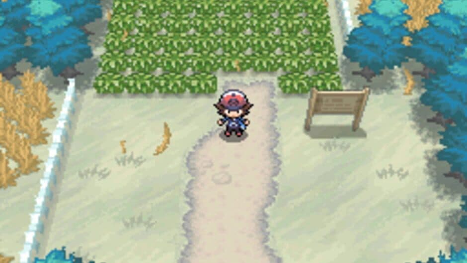Pokémon Black Version screenshot 5